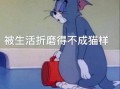 文案沙雕拽酷，文案沙雕拽酷的句子