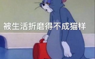 加v沙雕文案，沙雕加微信文案
