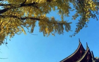上海金山游玩攻略，上海金山游玩攻略必去的地方