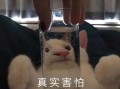 文案 可爱 沙雕搞笑，文案 可爱 沙雕搞笑图片