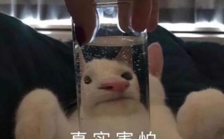 沙雕搞笑文案泰国，沙雕搞笑文案