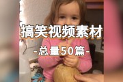 外国恶搞视频枪声，外国恶搞视频枪声大全