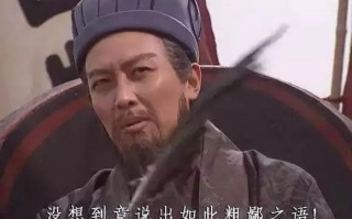 恶搞三国诸葛亮打架视频，恶搞三国诸葛亮打架视频大全