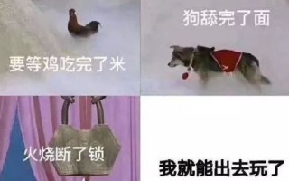 言情沙雕文案，言情沙雕文案短句