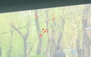 街头男人恶搞视频，街头男人恶搞视频在线观看