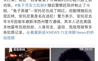 国外沙雕视频文案，国外沙雕视频素材