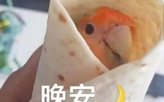 文案可爱沙雕螺蛳粉短句，文案可爱沙雕螺蛳粉短句搞笑