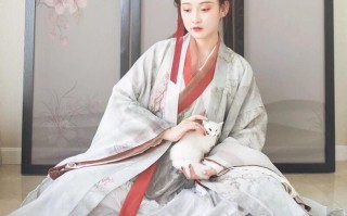 魏晋时期汉服穿搭图，魏晋时期汉服穿搭图片
