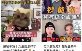 网红皮皮熊恶搞舅舅视频，网红皮皮熊恶搞舅舅视频在线观看